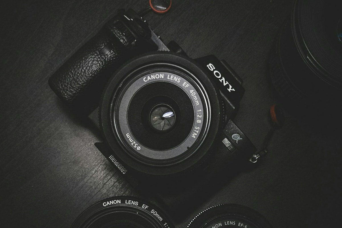 Best Cameras for Beginners & Content Creators 2026